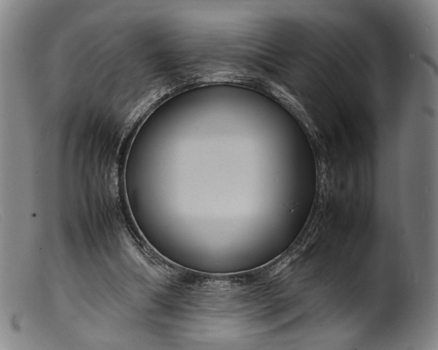 X0000099460298200805231813