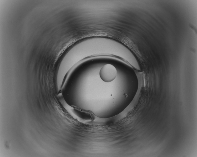 X0000099460300200805231813