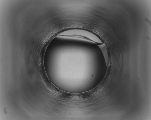 X0000099460303200805231813