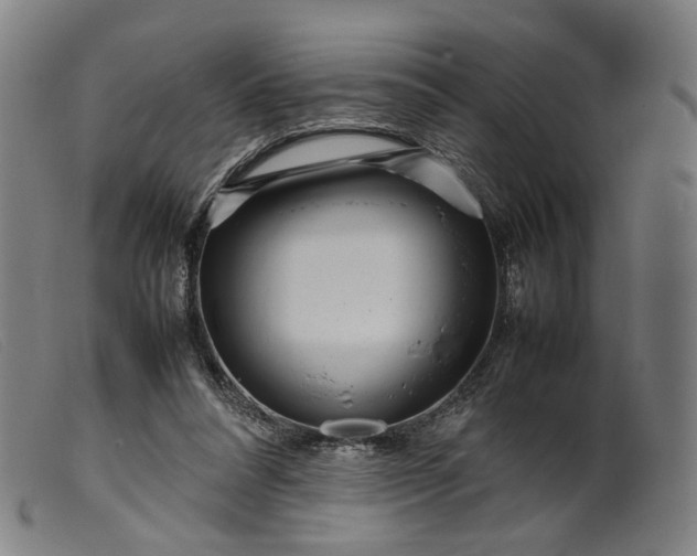 X0000099460304200805231812