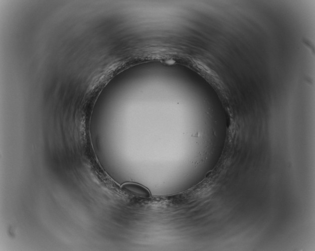 X0000099460306200805231812