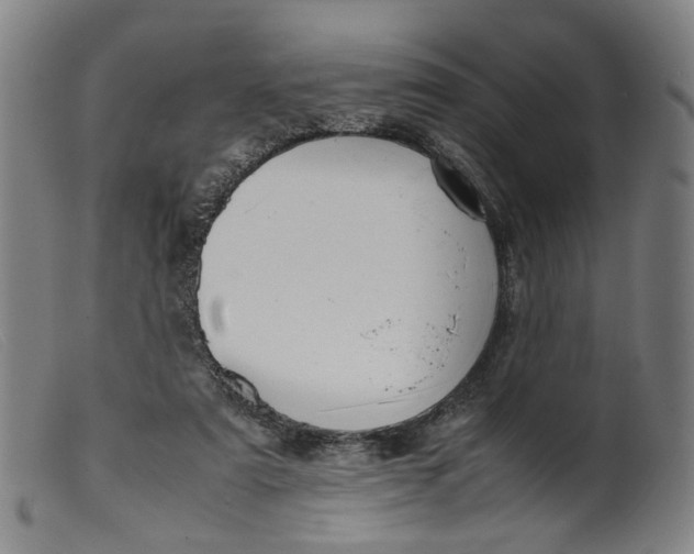 X0000099460307200805231812