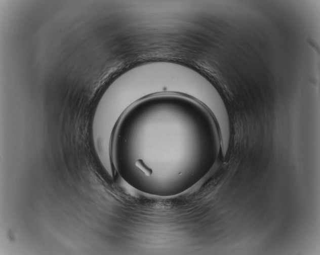 X0000099460308200805231812