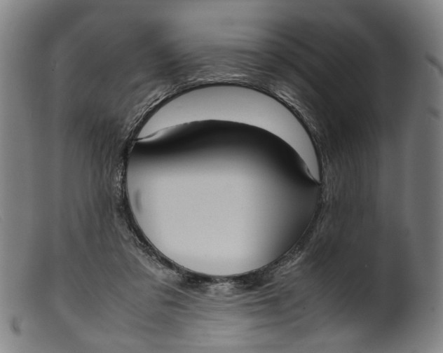 X0000099460309200805231812