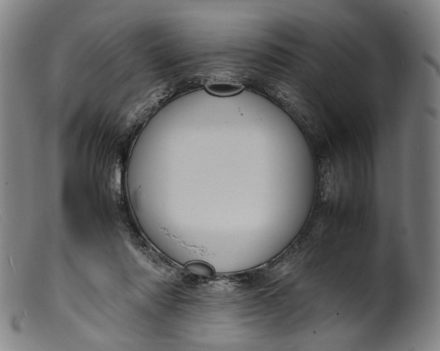 X0000099460310200805231812