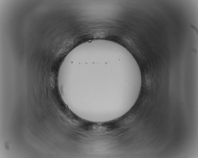 X0000099460311200805231812