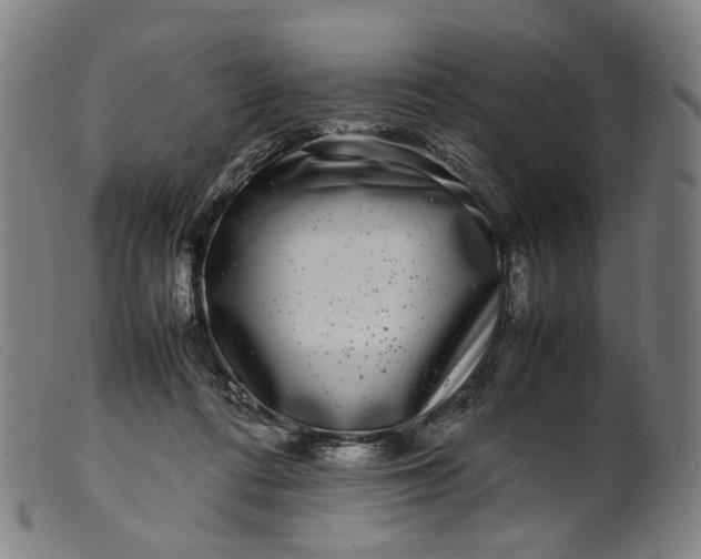 X0000099460312200805231812