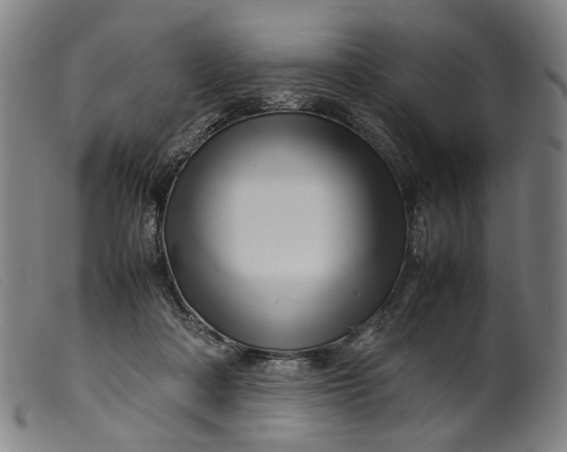 X0000099460314200805231812