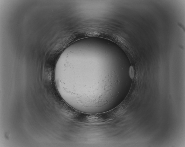 X0000099460315200805231812