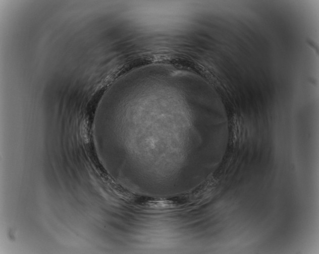 X0000099460316200805231812