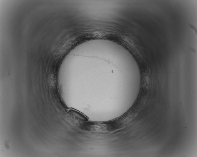 X0000099460317200805231812