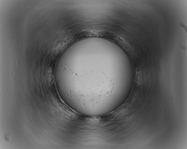 X0000099460318200805231812