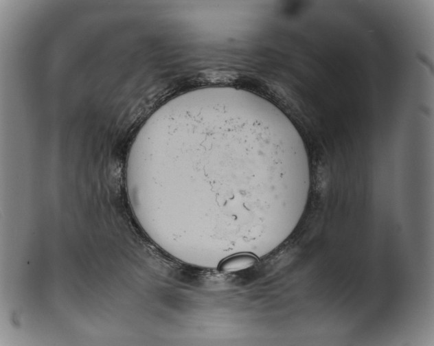 X0000099460321200805231812