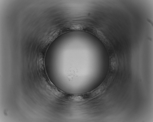 X0000099460322200805231812