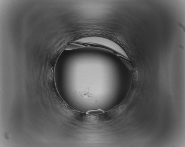 X0000099460325200805231812