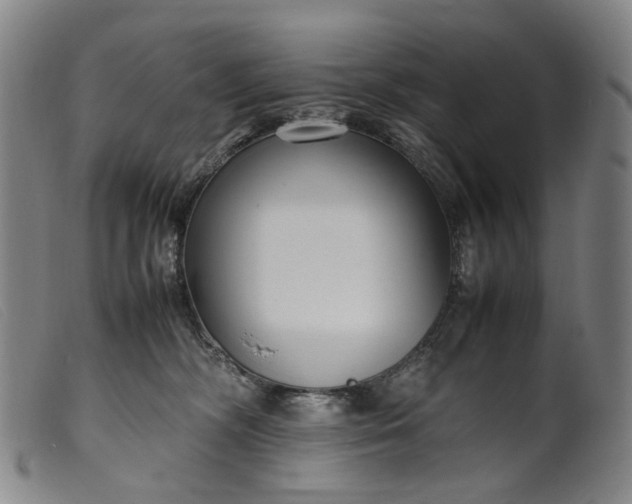 X0000099460326200805231812