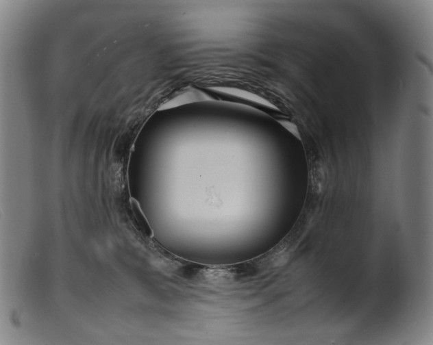 X0000099460327200805231812