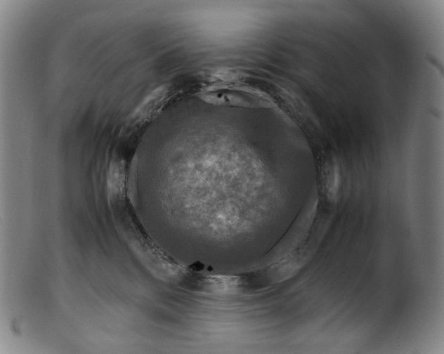 X0000099460328200805231812