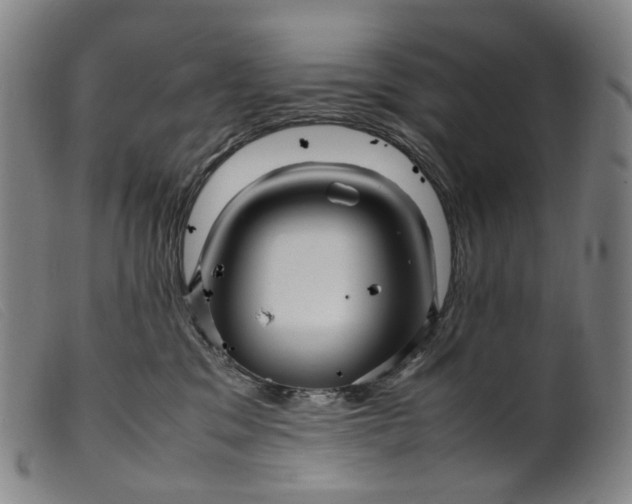 X0000099460329200805231812