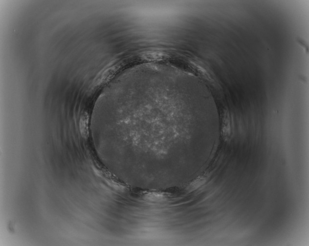 X0000099460332200805231812