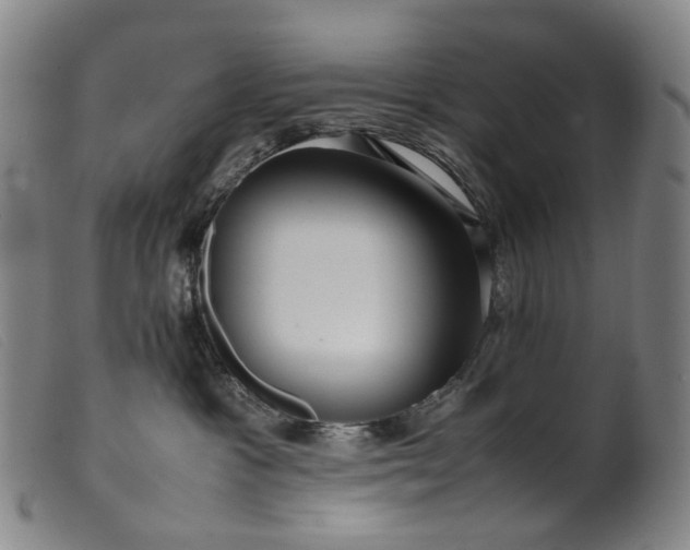 X0000099460333200805231812