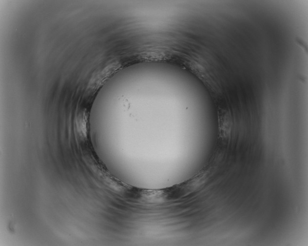 X0000099460334200805231812