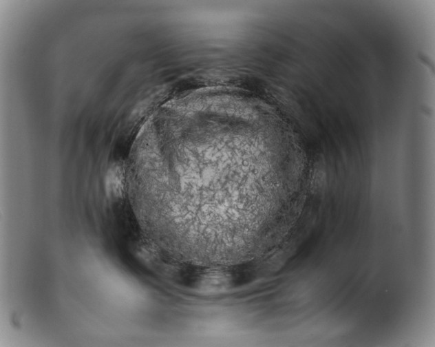 X0000099460335200805231812