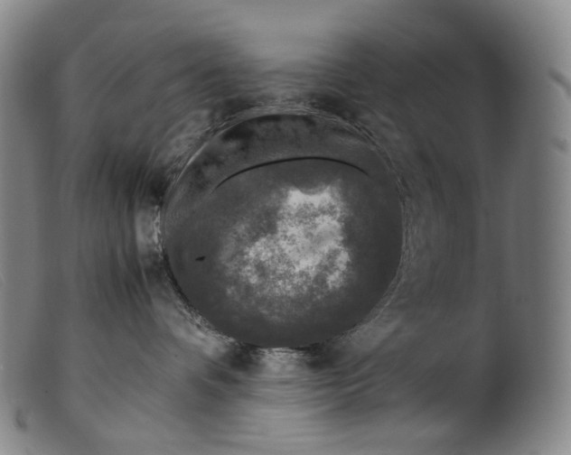 X0000099460336200805231812