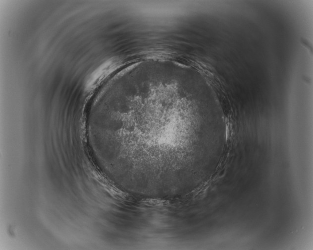 X0000099460339200805231811