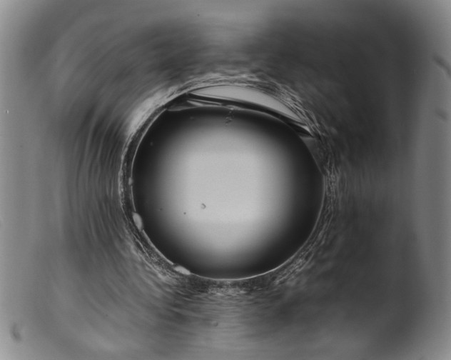 X0000099460340200805231811