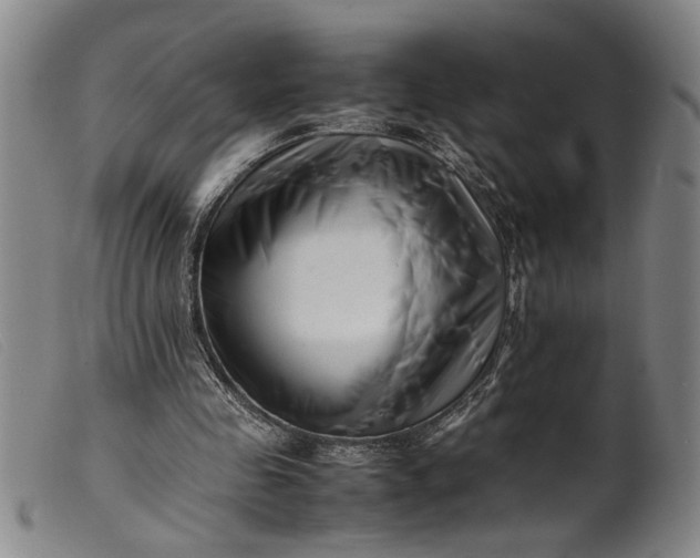 X0000099460341200805231811