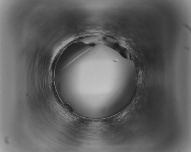 X0000099460342200805231811