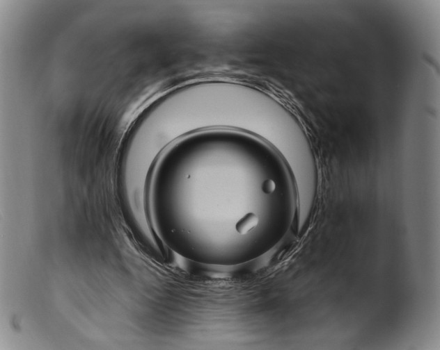 X0000099460344200805231811