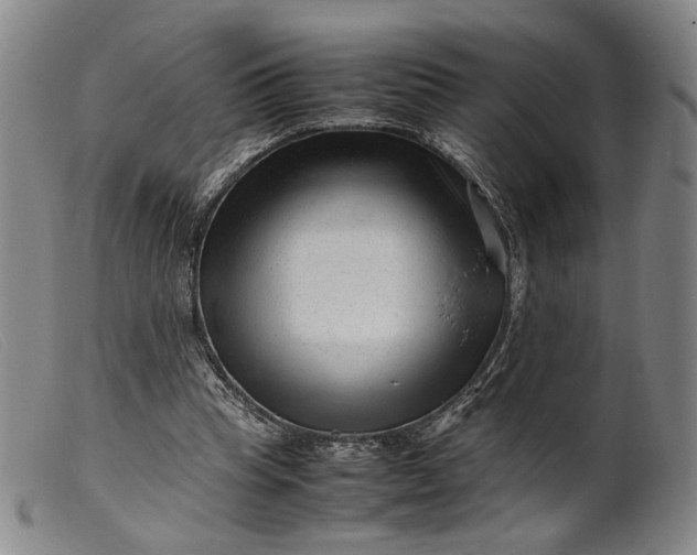 X0000099460345200805231811