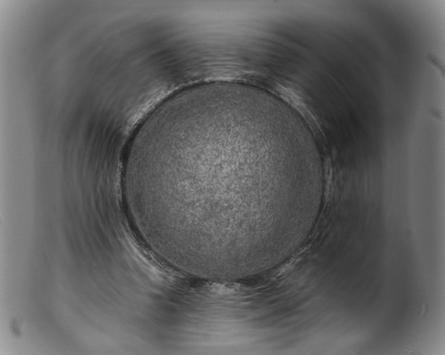 X0000099460346200805231811