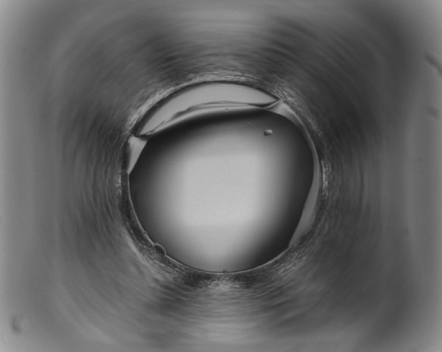 X0000099460348200805231811