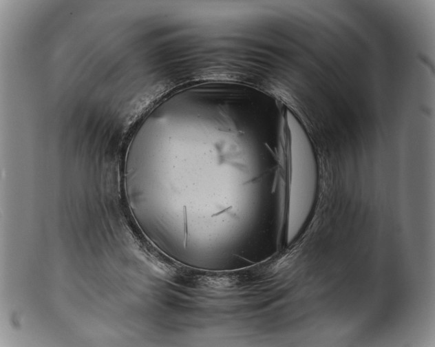 X0000099460349200805231811