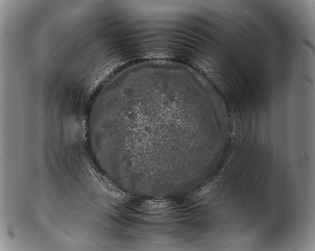 X0000099460351200805231812