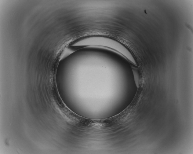 X0000099460352200805231812