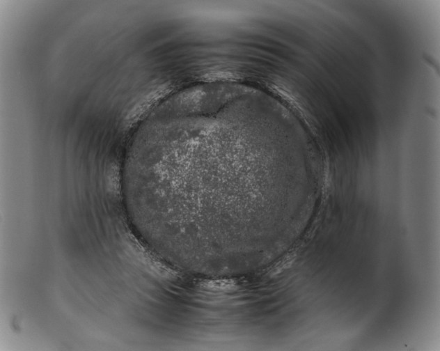 X0000099460353200805231812