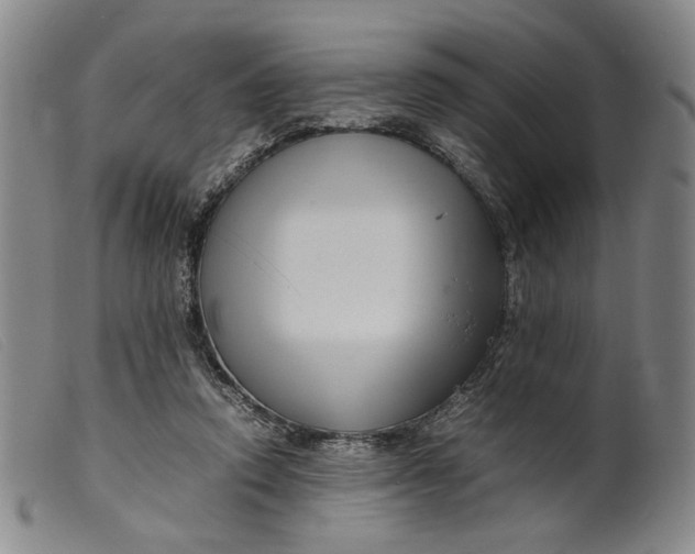 X0000099460354200805231812