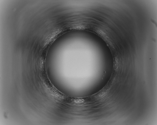 X0000099460355200805231812