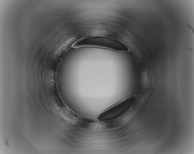 X0000099460356200805231812