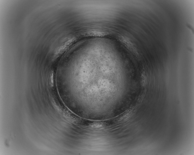 X0000099460358200805231812