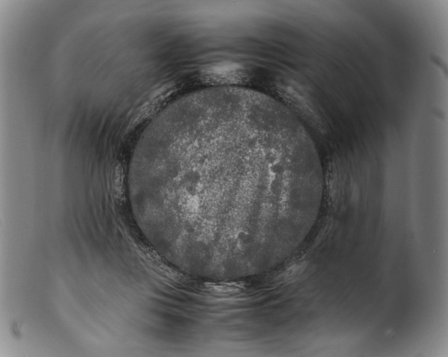 X0000099460359200805231812