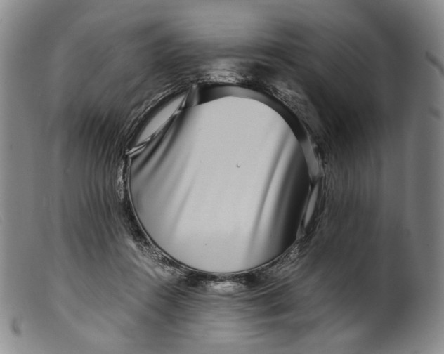 X0000099460360200805231812