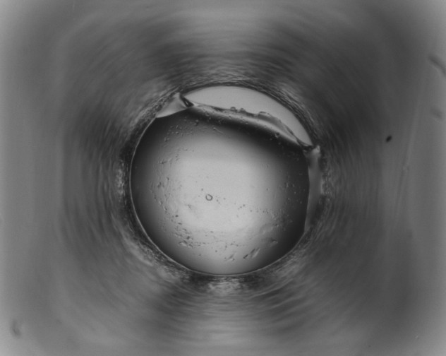 X0000099460362200805231812