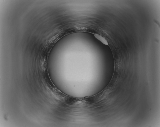 X0000099460364200805231812