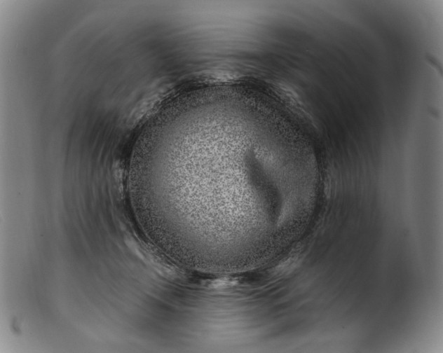 X0000099460366200805231812