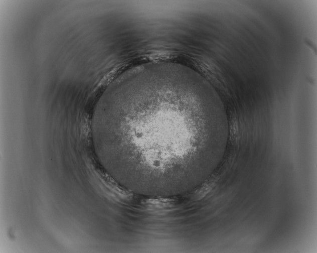 X0000099460367200805231812